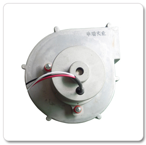 ���F�����C�L�C